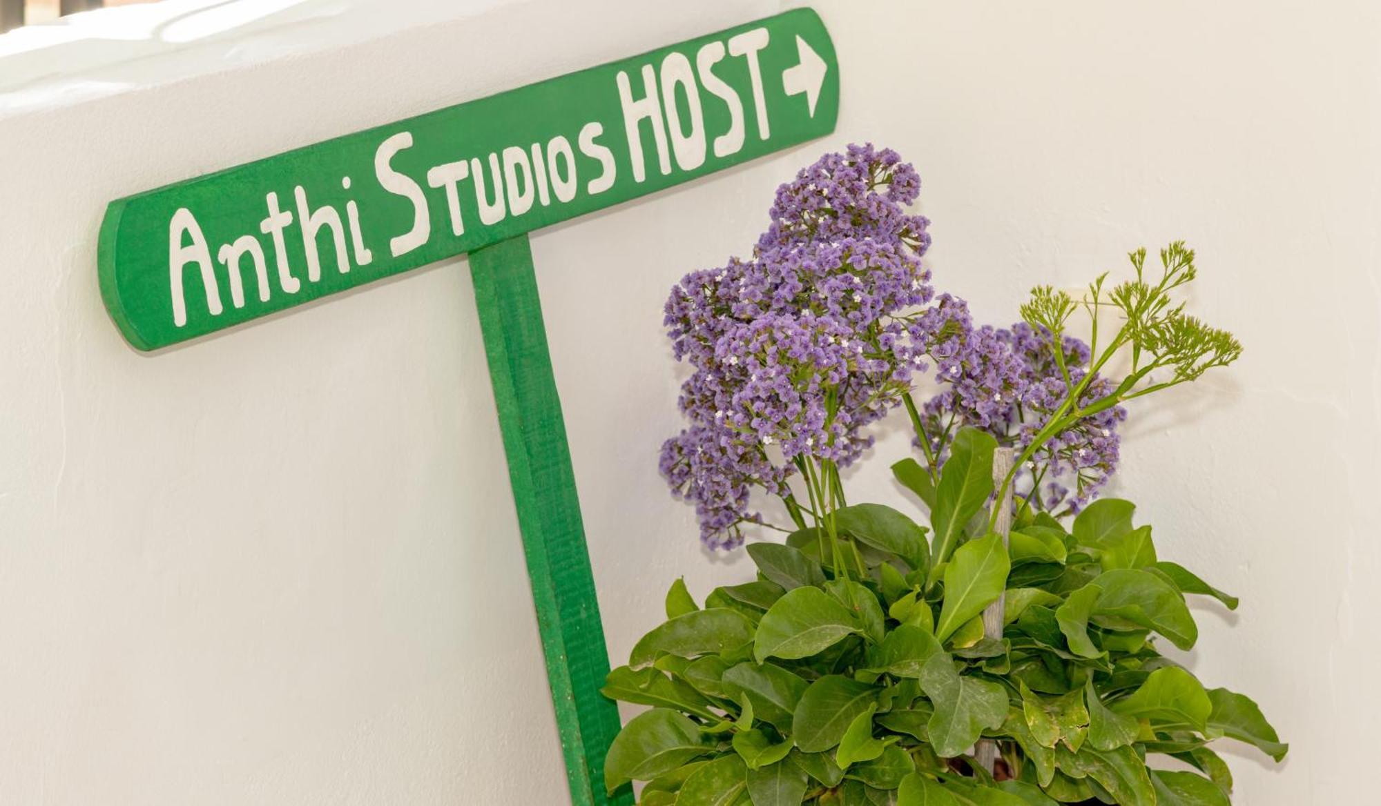 Anthi Studios & Apartments อาลีเกส ภายนอก รูปภาพ