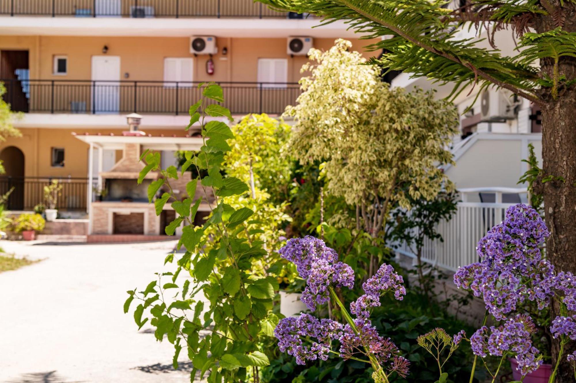 Anthi Studios & Apartments อาลีเกส ภายนอก รูปภาพ